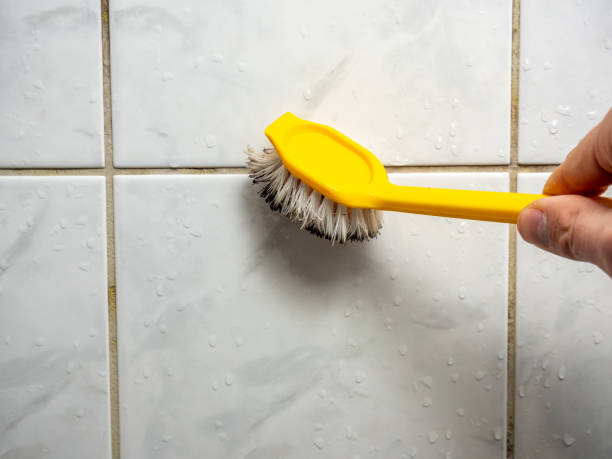 Best Localized Mold Remediation (e.g., coastal areas, humid climates) in Middletown, NY