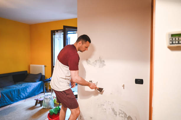 Best Emergency Mold Remediation in Middletown, NY